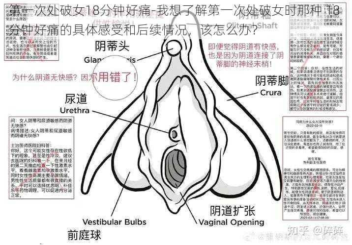 第一次处破女18分钟好痛-我想了解第一次处破女时那种 18 分钟好痛的具体感受和后续情况，该怎么办？