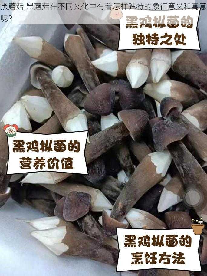 黑蘑菇,黑蘑菇在不同文化中有着怎样独特的象征意义和寓意呢？