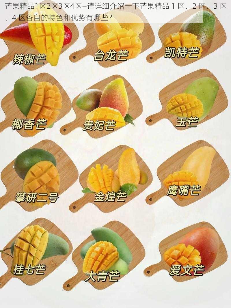 芒果精品1区2区3区4区—请详细介绍一下芒果精品 1 区、2 区、3 区、4 区各自的特色和优势有哪些？