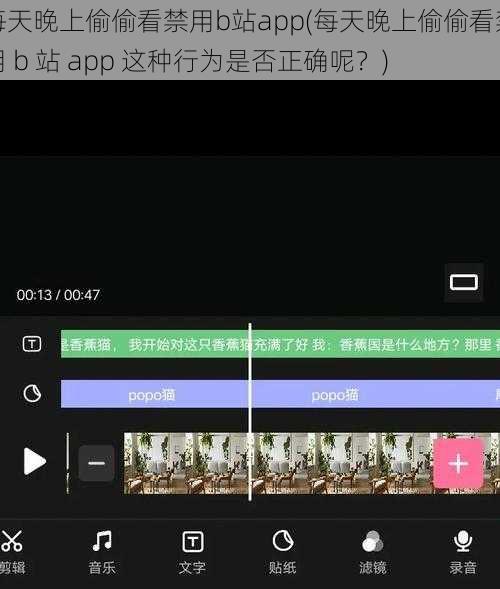 每天晚上偷偷看禁用b站app(每天晚上偷偷看禁用 b 站 app 这种行为是否正确呢？)