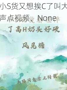 小S货又想挨C了叫大声点视频、None