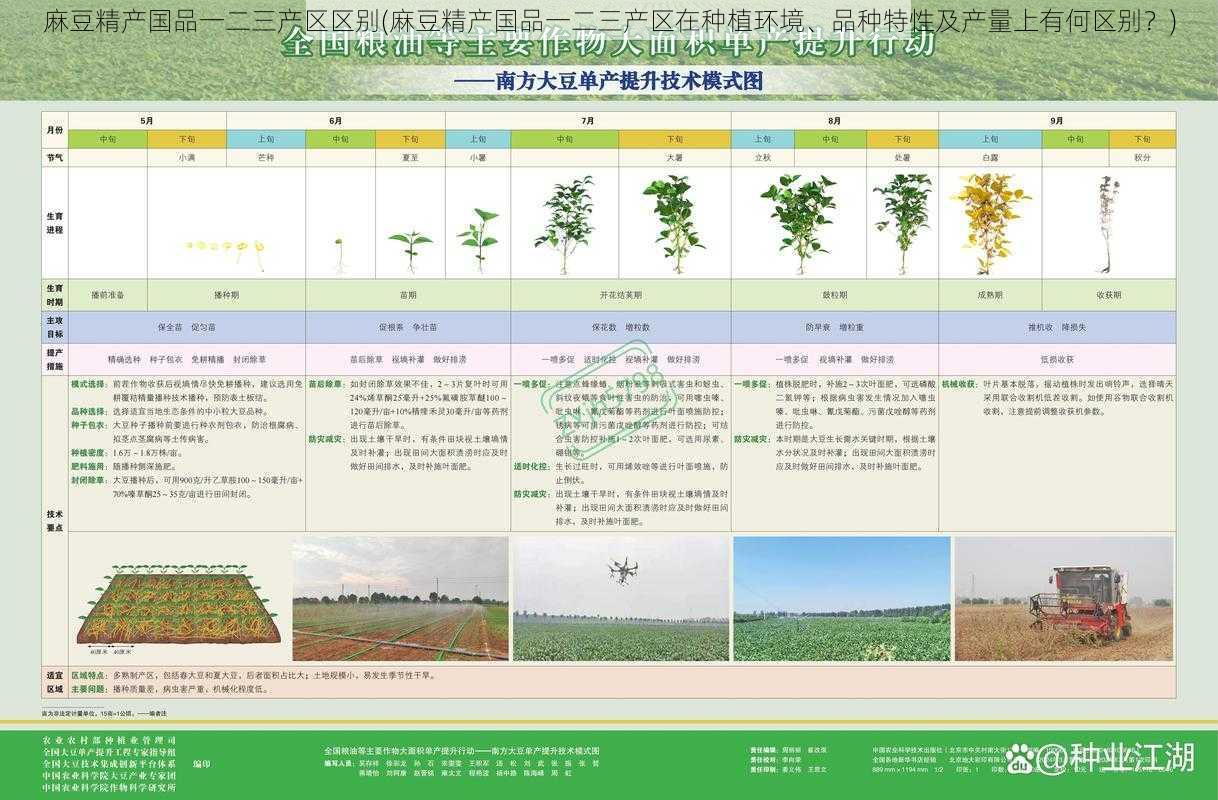 麻豆精产国品一二三产区区别(麻豆精产国品一二三产区在种植环境、品种特性及产量上有何区别？)