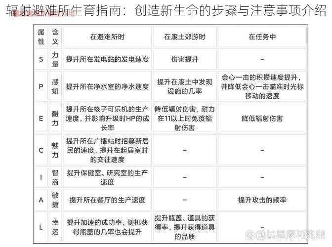 辐射避难所生育指南：创造新生命的步骤与注意事项介绍