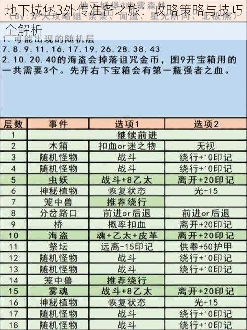 地下城堡3外传准备之旅：攻略策略与技巧全解析