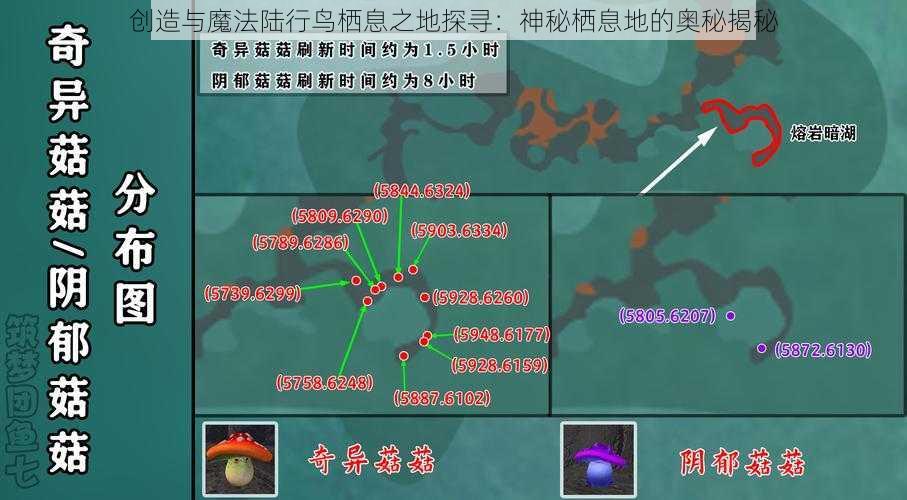 创造与魔法陆行鸟栖息之地探寻：神秘栖息地的奥秘揭秘