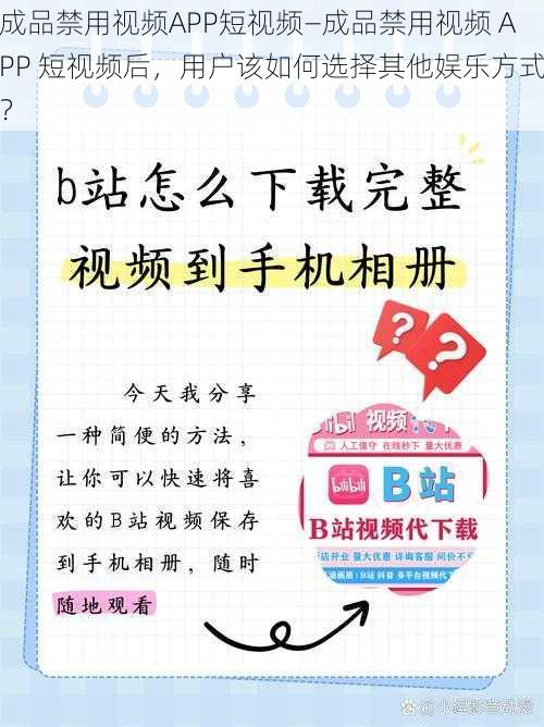 成品禁用视频APP短视频—成品禁用视频 APP 短视频后，用户该如何选择其他娱乐方式？