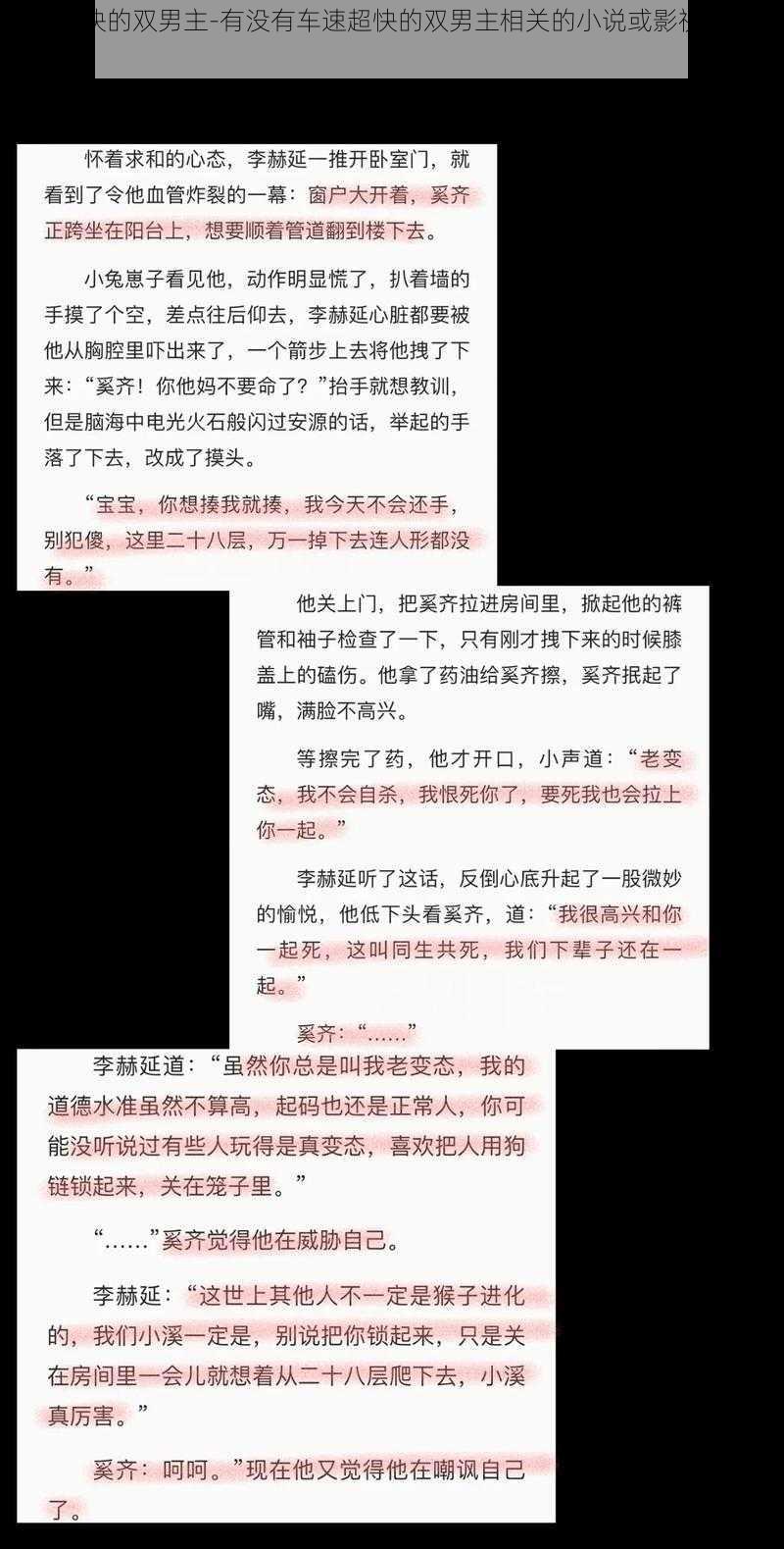 车速超快的双男主-有没有车速超快的双男主相关的小说或影视作品推荐？