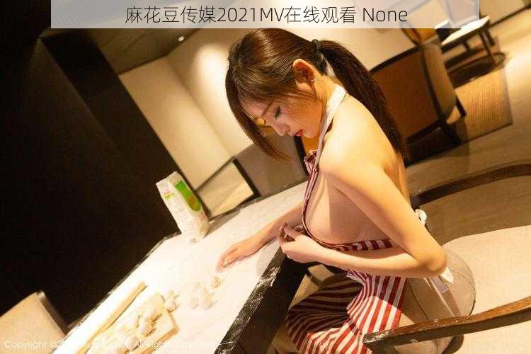 麻花豆传媒2021MV在线观看 None