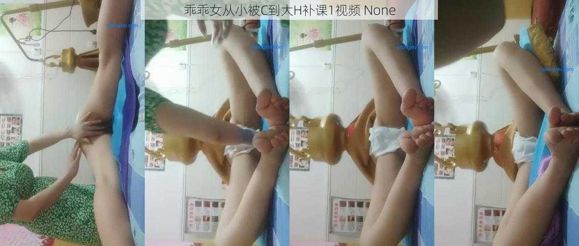 乖乖女从小被C到大H补课1视频 None